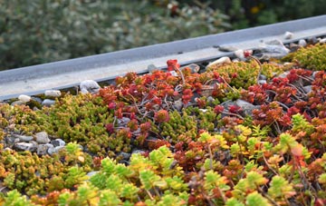 the cost of Preshome green roof installation