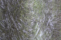 Preshome fibreglass roof work